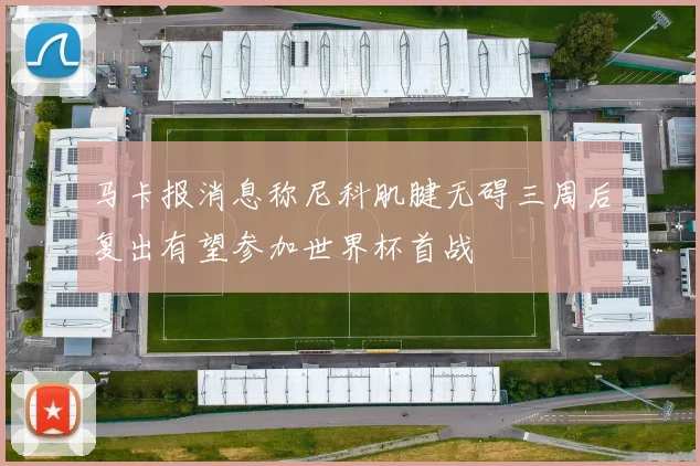 马卡报消息称尼科肌腱无碍三周后复出有望参加世界杯首战