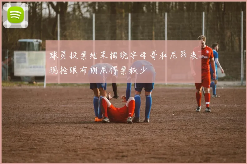 球员投票结果揭晓字母哥和尼昂表现抢眼布朗尼得票较少