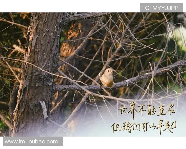 离队公告感谢曾与我们携手并肩为佛山奋斗的每一位伙伴